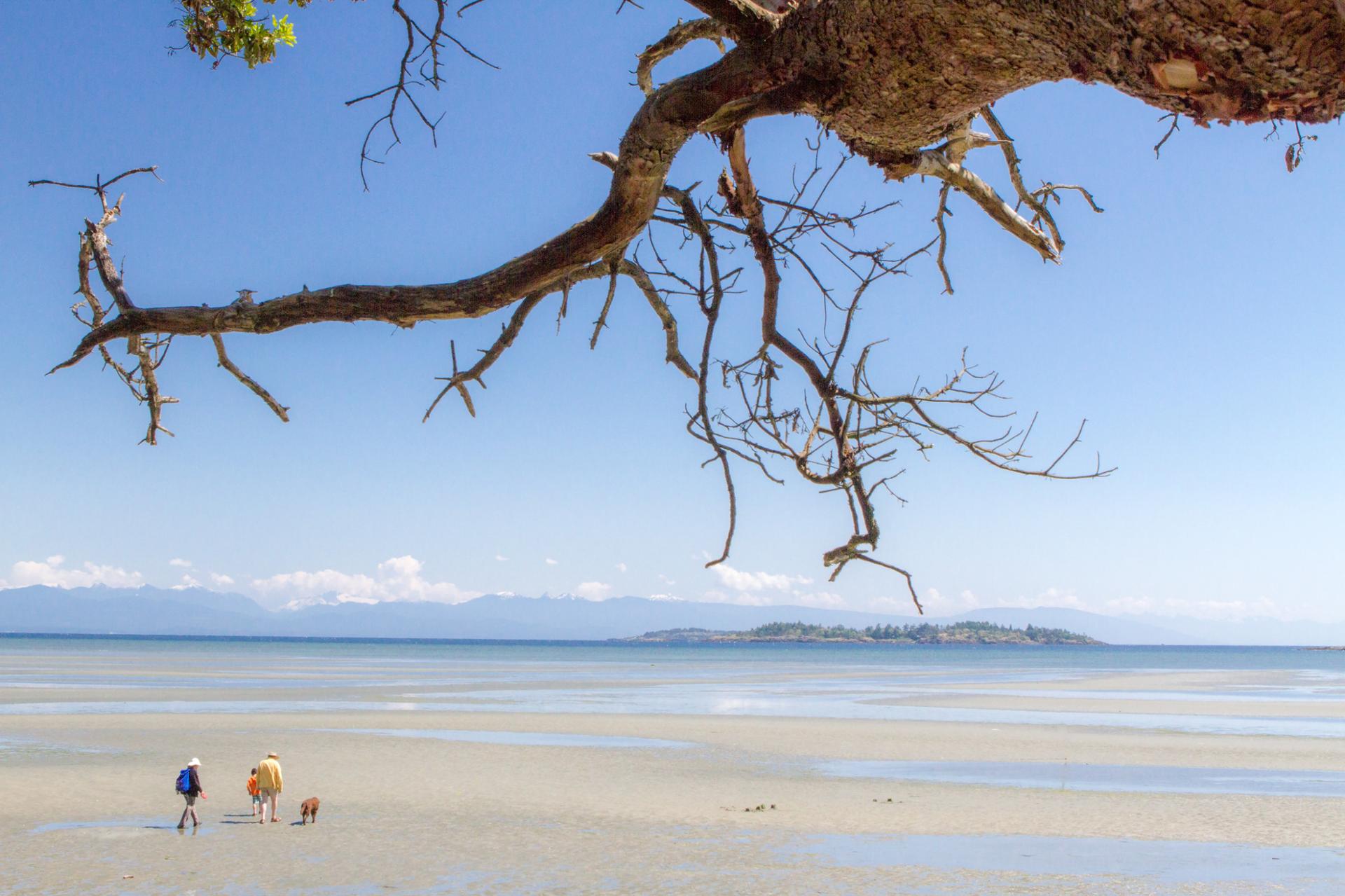 Beach at low tide