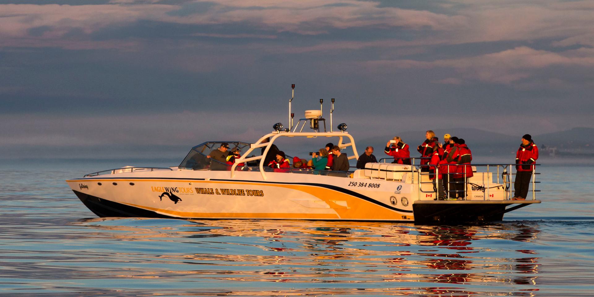 Goldwing is a 60 foot High performance whale watching vessel for the discerning traveller.