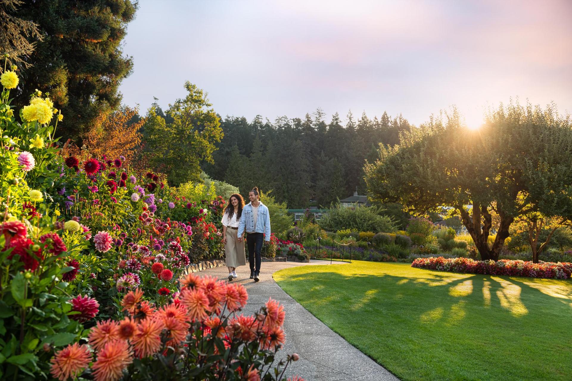 A couple walking through Butchart Gardens in Fall