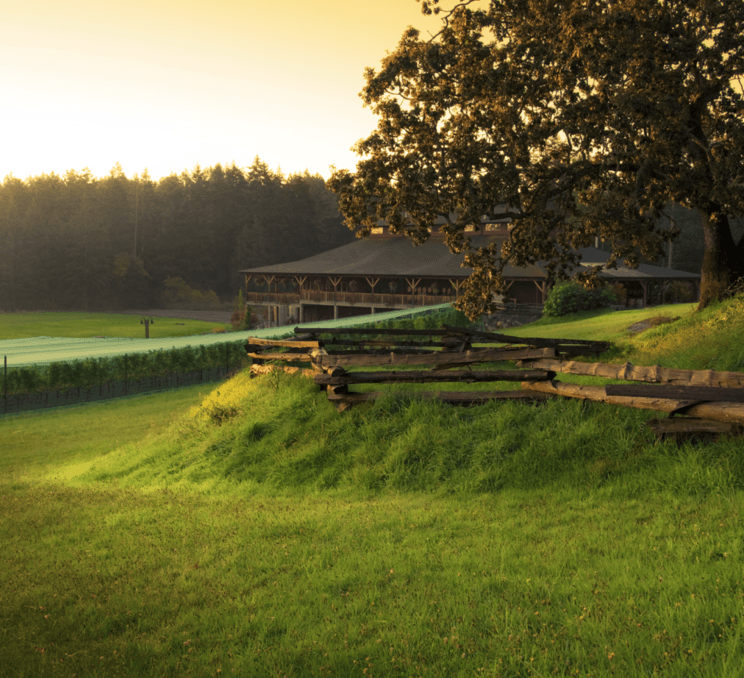 Church & State Wines from the hillside