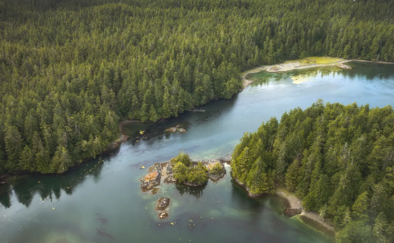 An aerial view of water in Victoria, BC