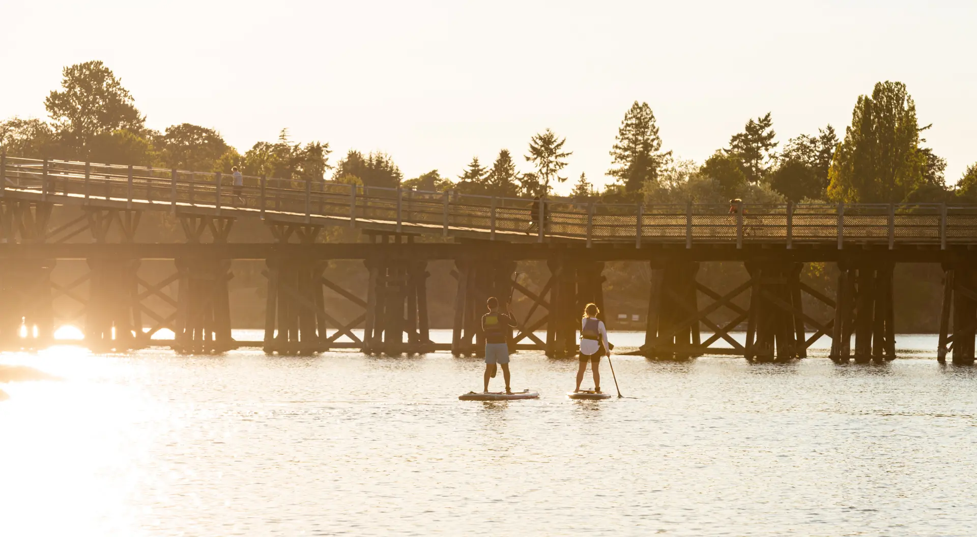 A couple paddling stand up paddle boards in Victoria, BC
