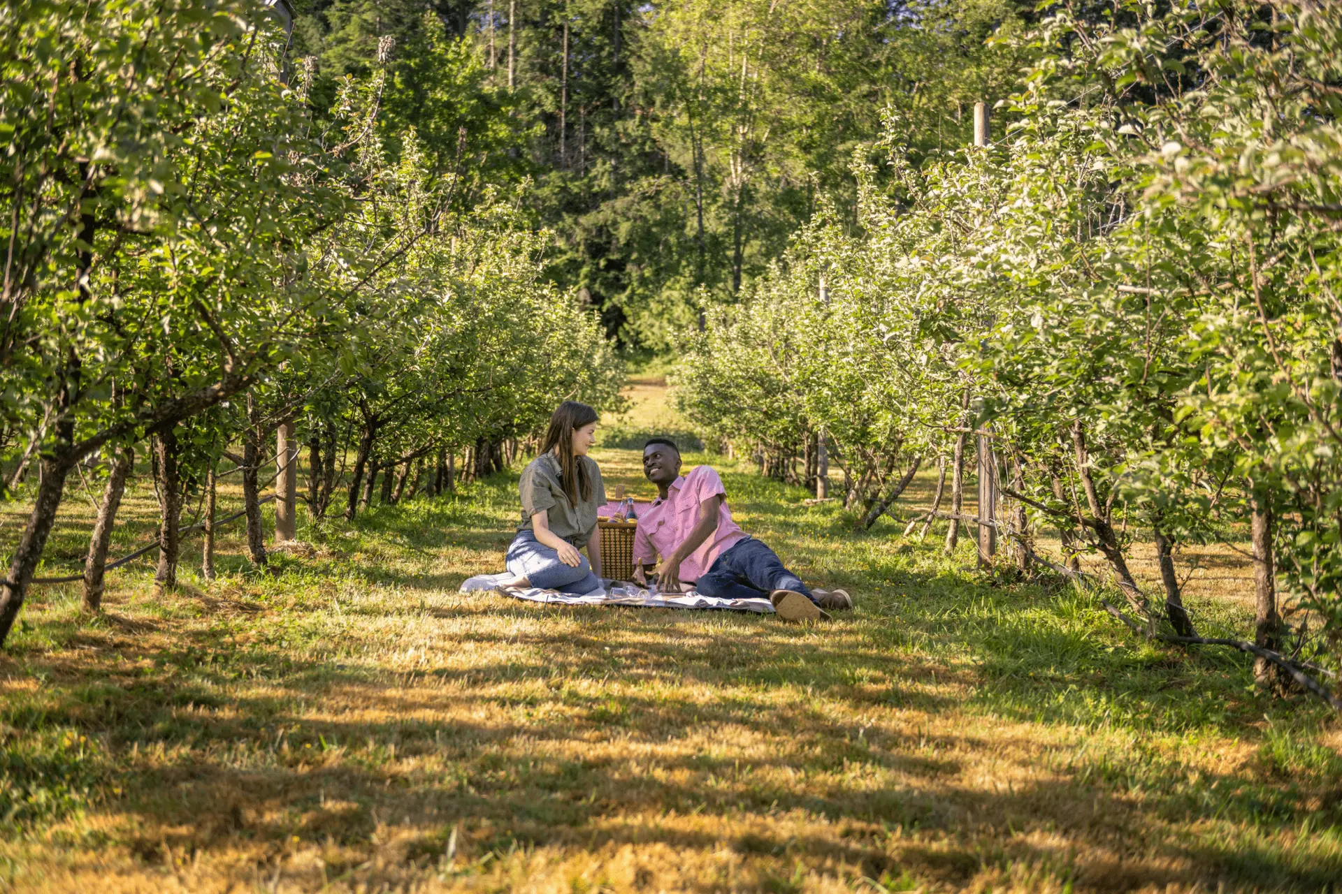 A couple having a picnic in a vineyard in Victoria, BC