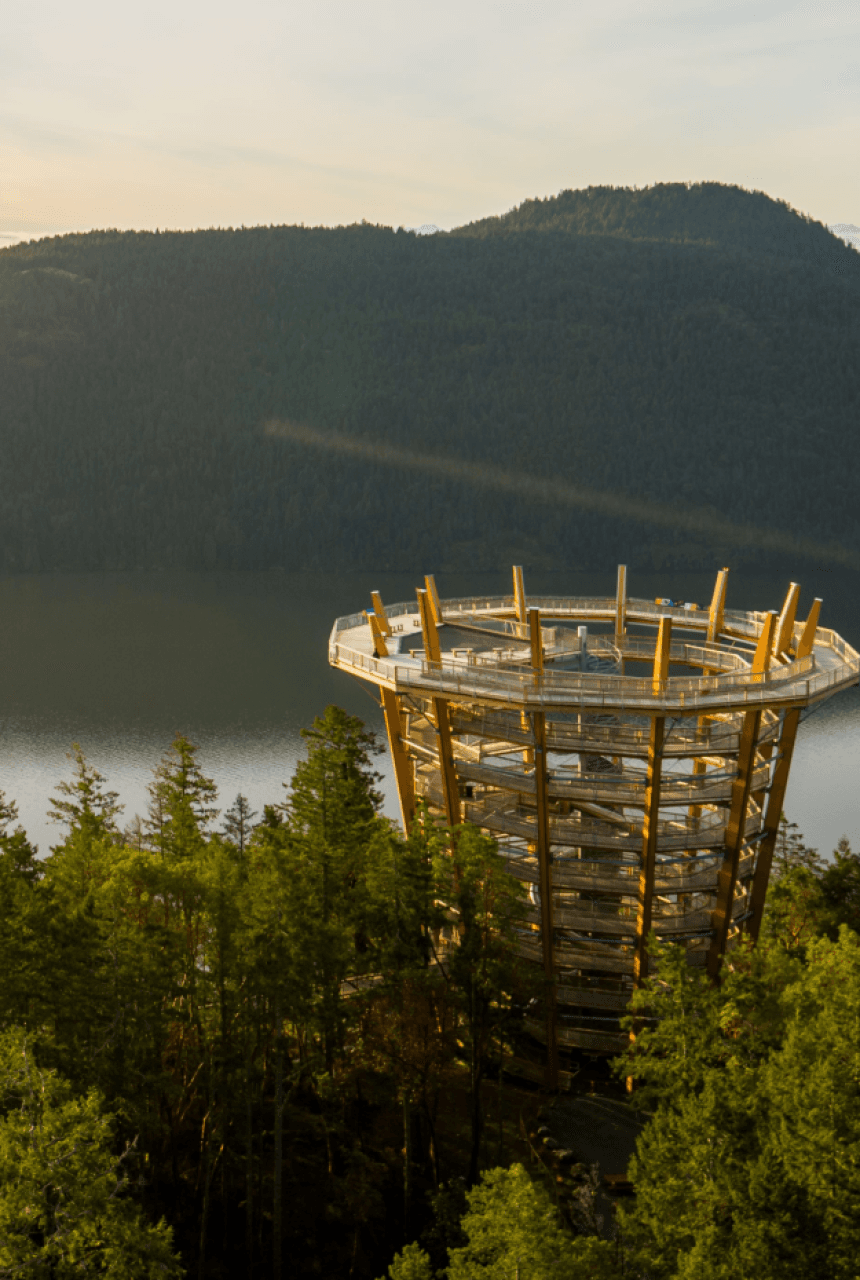 Malahat SkyWalk at Sunrise 1