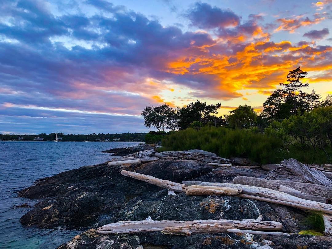 Cadboro-Gyro Park Cadboro-Gyro Park