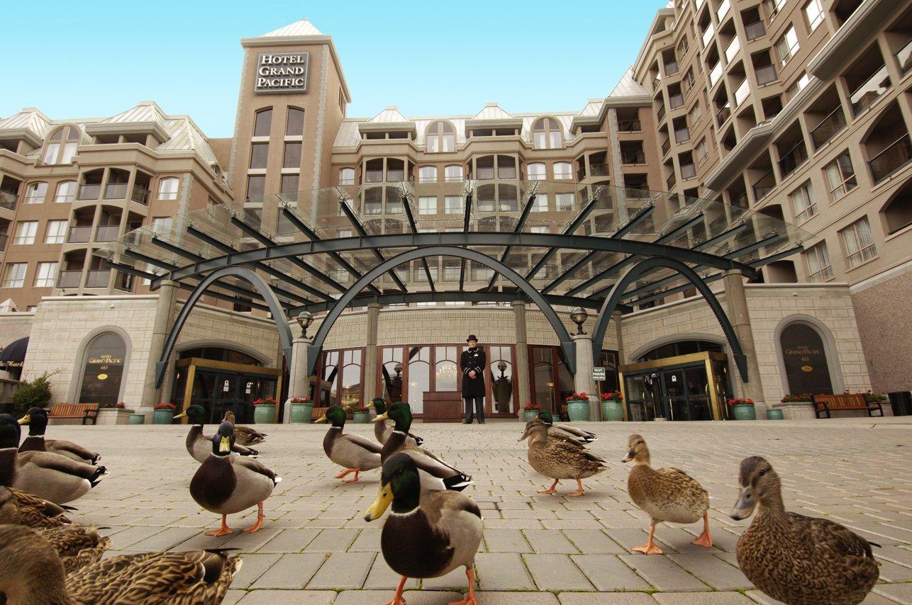 Hotel Grand Pacific entrance with ducks