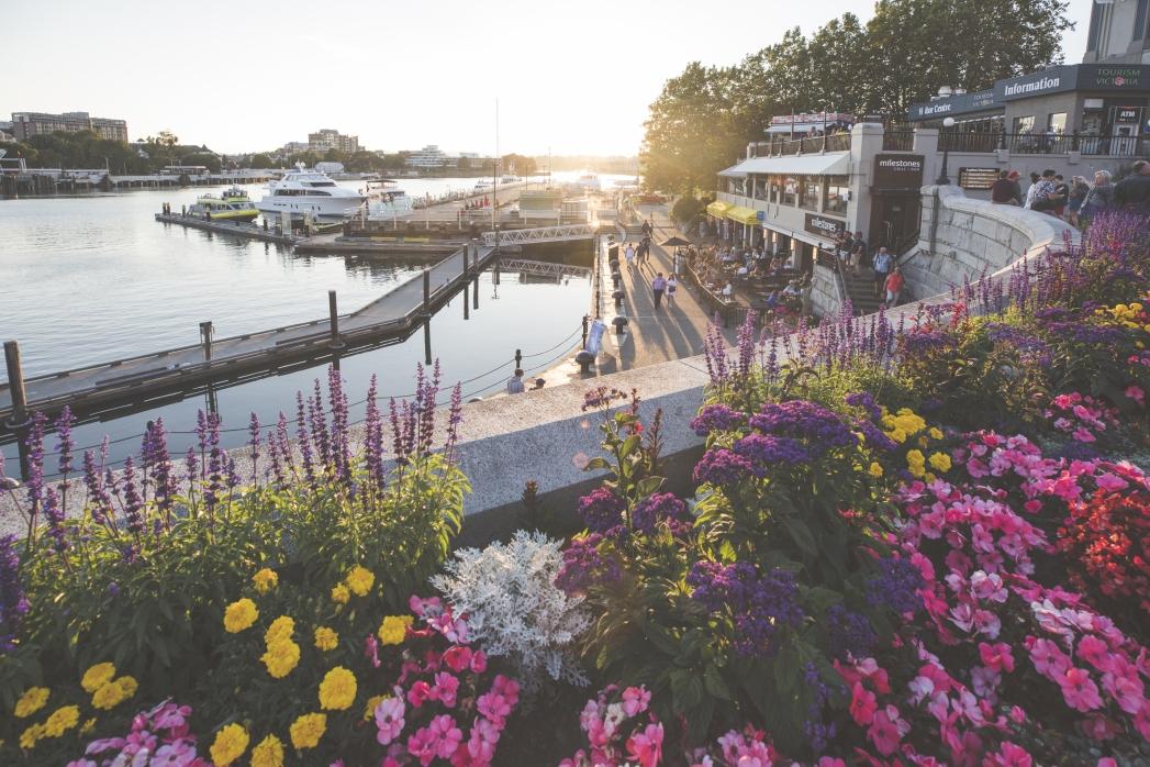 inner harbour with flowers in the summer