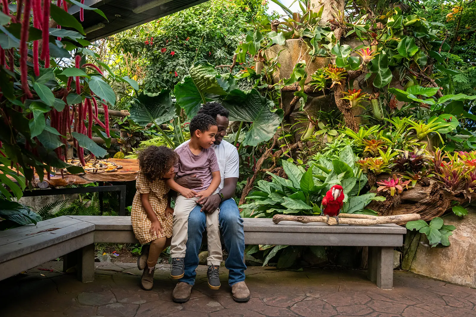 A family explores the Victoria Butterfly Gardens, spotting a parrot