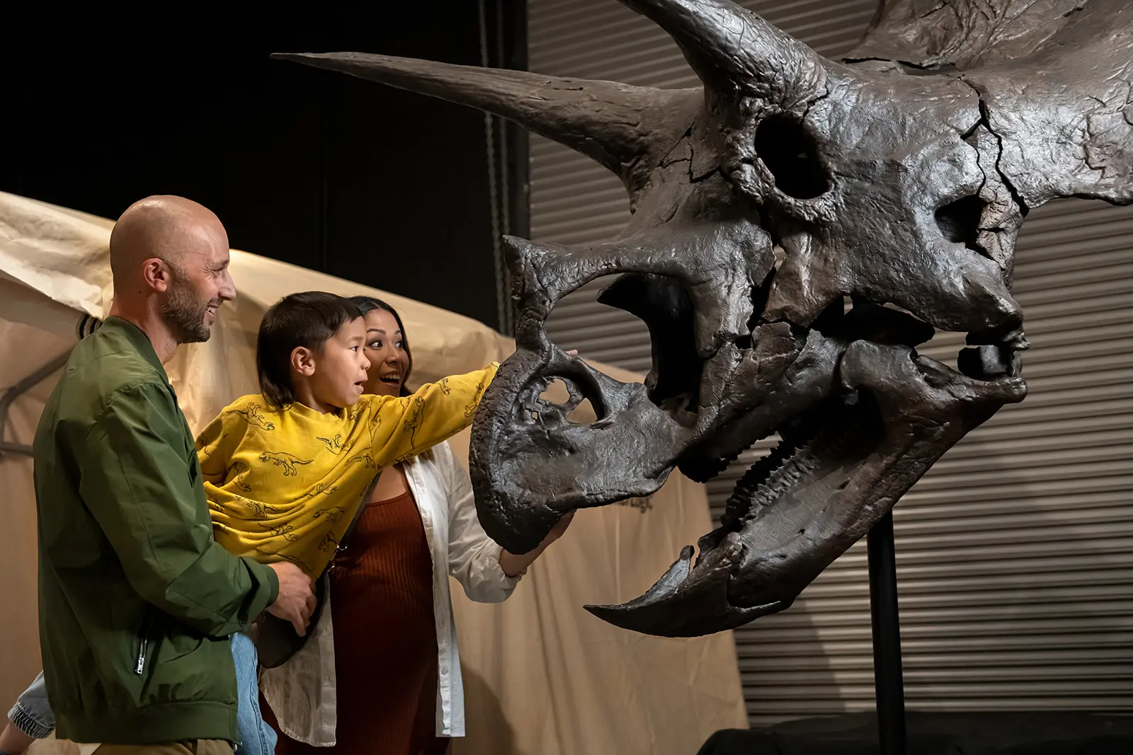 A young family uncovers the past with a Triceratops skeleton at Dino Lab
