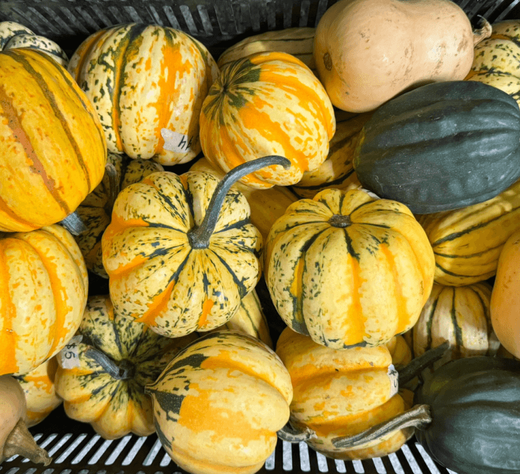 Yellow pumpkins and squash at the Esquimalt Farmers Market.