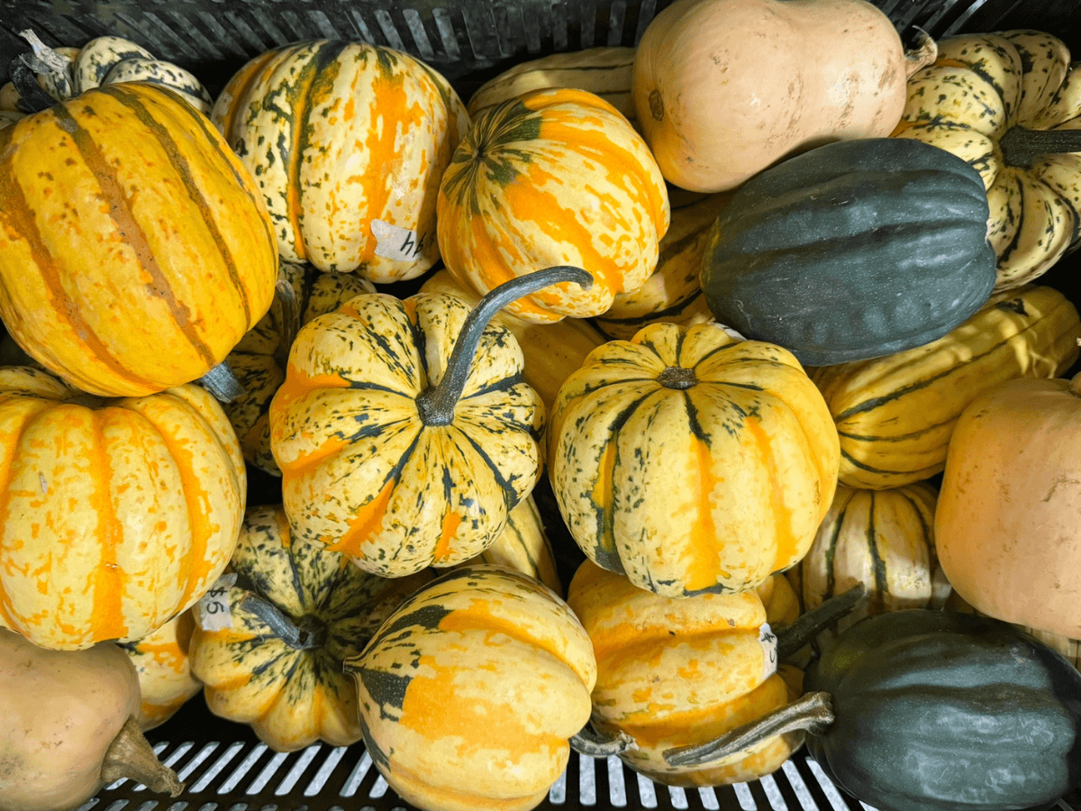 Yellow pumpkins and squash at the Esquimalt Farmers Market.