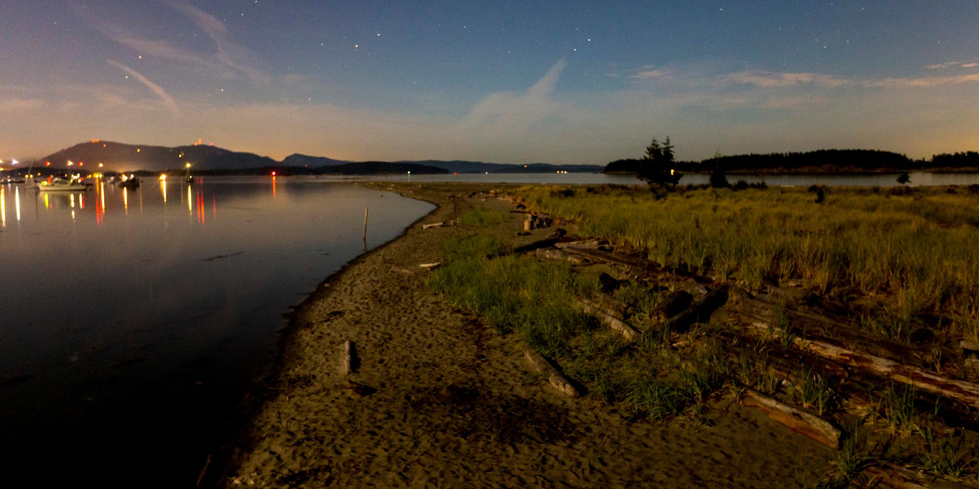Sidney Spit night