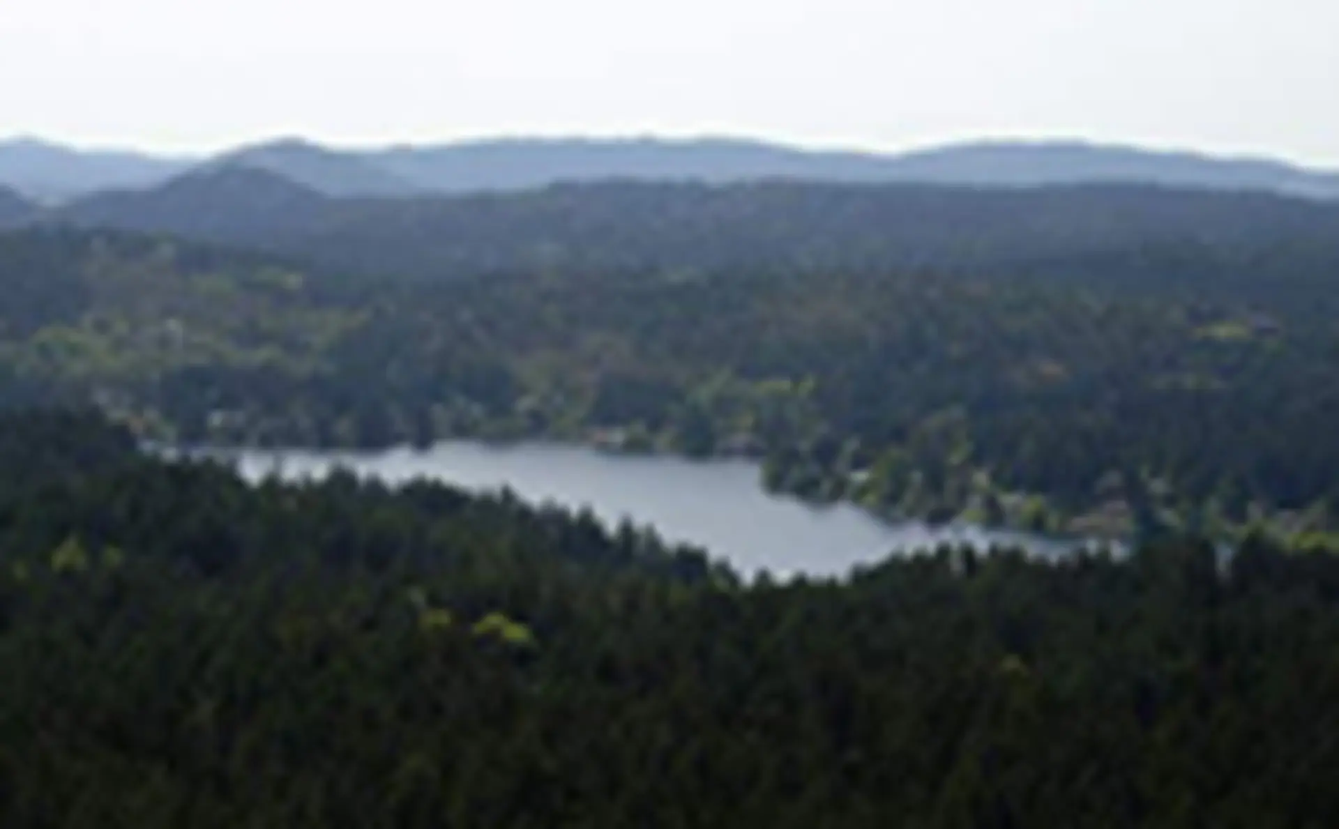 Prospect Lake