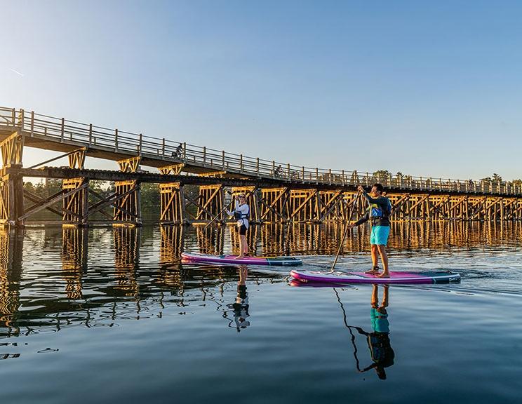 A couple paddleboards below the Selkirk Trestle in Victoria, BC