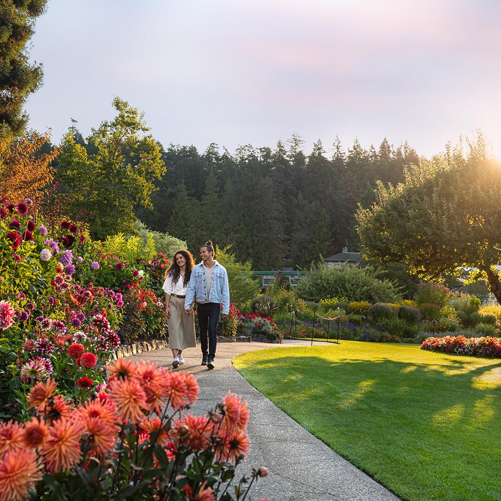 A young couple wanders the grounds of the Butchart Gardens