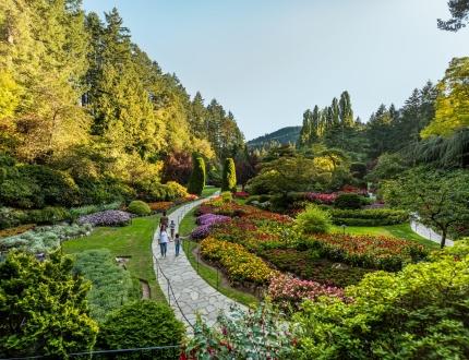 A young family walks along the pathway in the Sunken Garden at The Butchart Gardens, a National Historic Site of Canada, in Victoria, BC