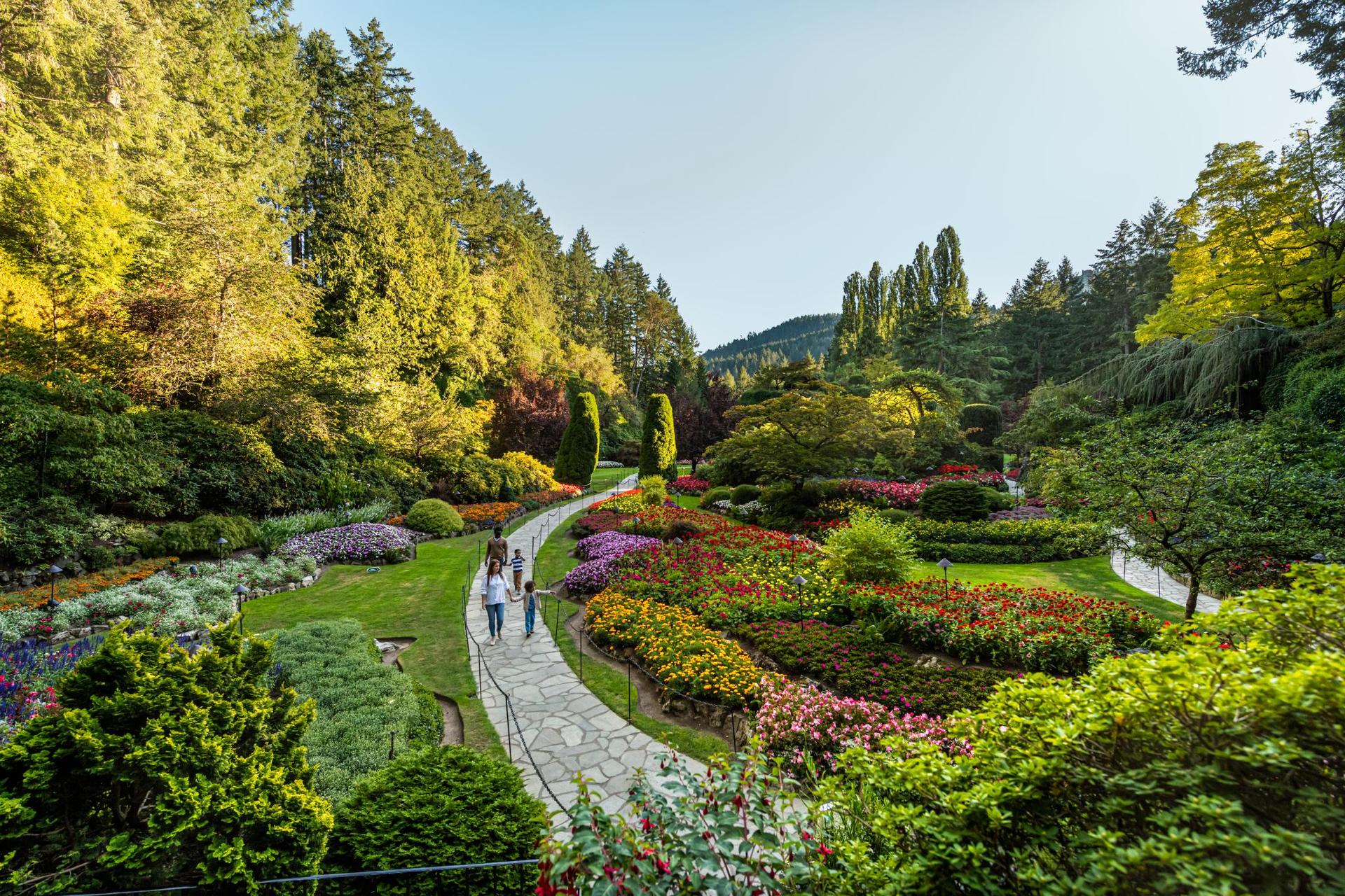 A young family walks along the pathway in the Sunken Garden at The Butchart Gardens, a National Historic Site of Canada, in Victoria, BC
