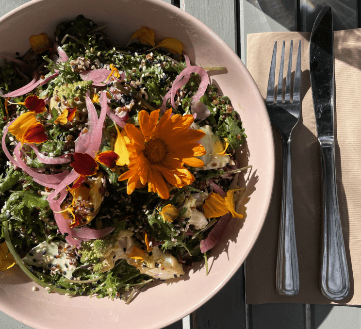 Beautiful bowl of salad with fresh ingredients and a flower
