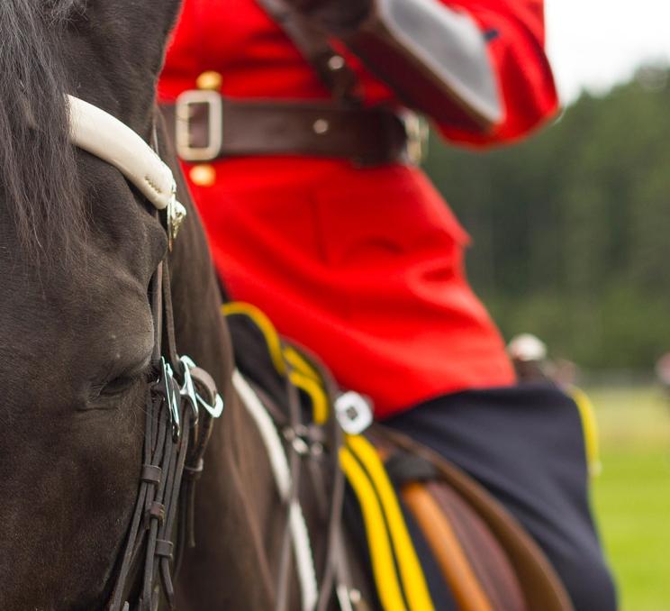 Experience a uniquely Canadian tradition as the RCMP Musical Ride returns to Victoria. Featuring up to 32 riders and their horses performing intricate drills and choreographed formations, this iconic spectacle showcases exceptional horsemanship, precision, and pageantry.