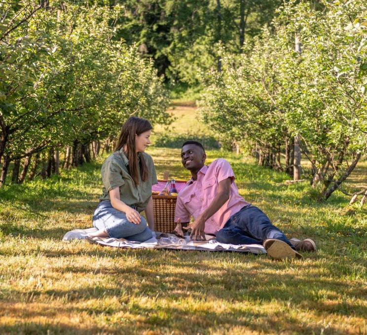 Visitors enjoying a picnic among orchard rows at Junction Orchard & Cidery in Saanich.
