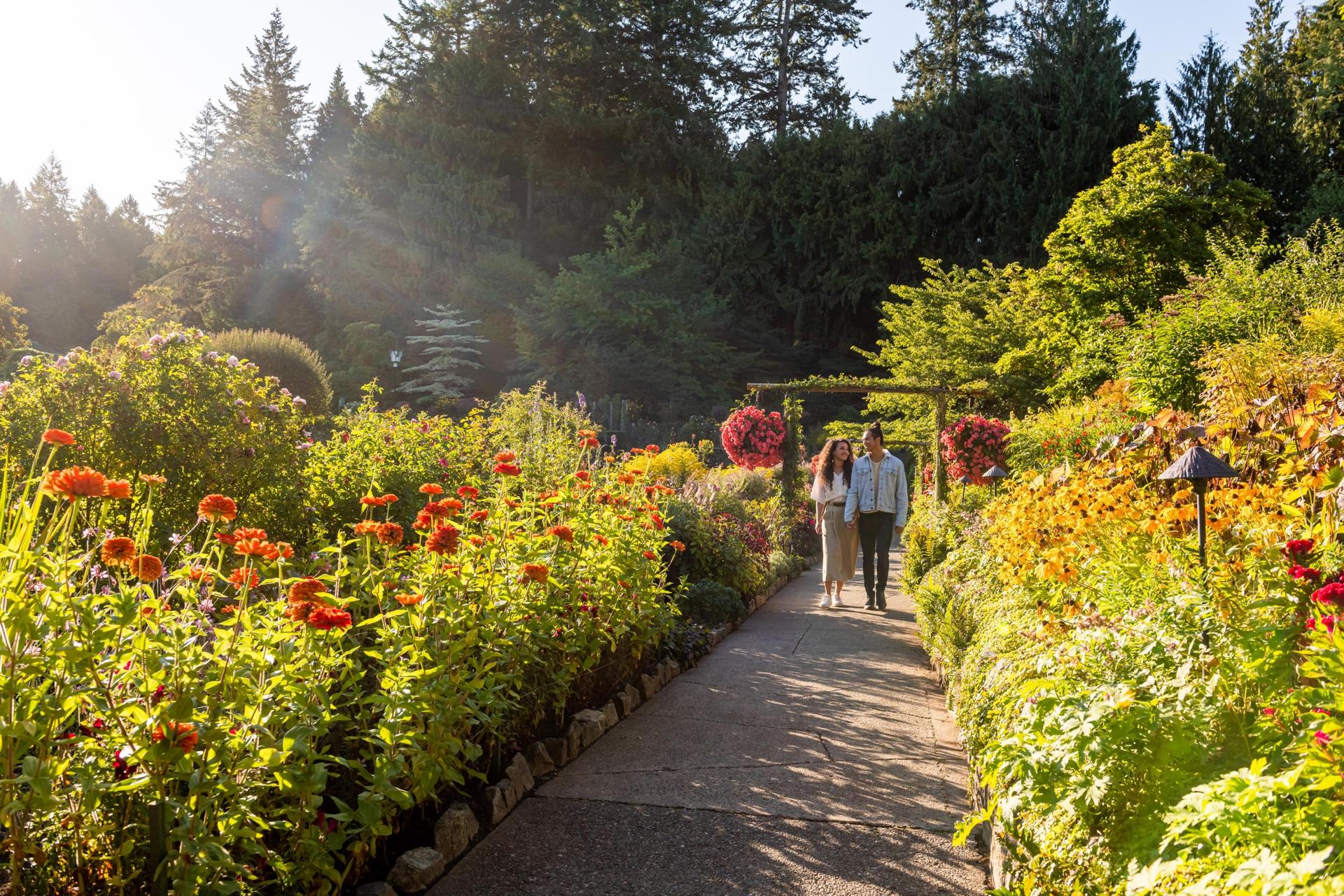 A young couple walks through then Rose Garden at The Butchart Gardens in Fall