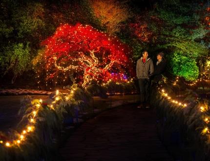 A couple explores a light display at The Butchart Gardens in Victoria, BC