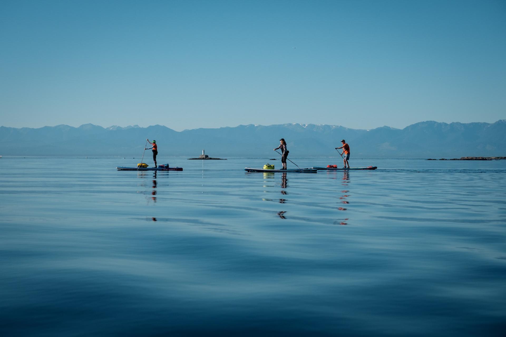 Oak Bay SUP Tour visiting small islands with curious seals checking us out.
