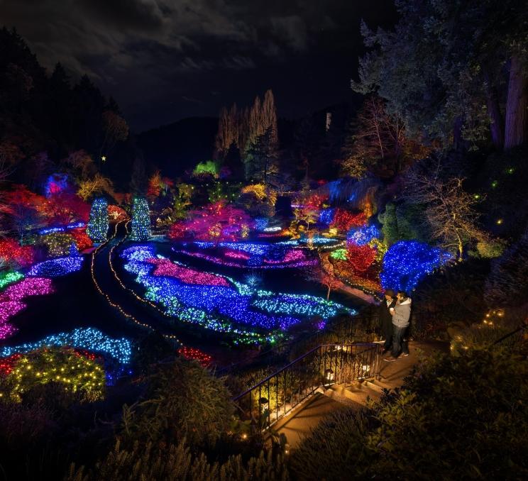 A couple explores the Christmas Light display at The Butchart Gardens famed Sunken Garden in Victoria, BC