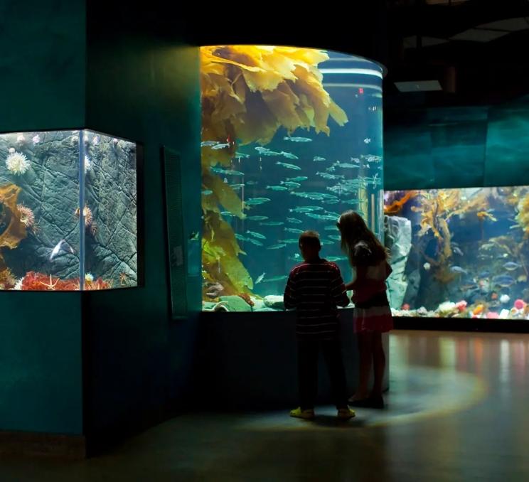 A couple children explore the exhibits at the Shaw Centre for the Salish Sea an educational aquarium in Victoria, BC
