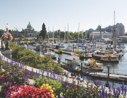 A marina in Victoria's Inner Harbour during spring, with flowers in bloom in the foreground and the BC Parliament Buildings in the background in Victoria, BC