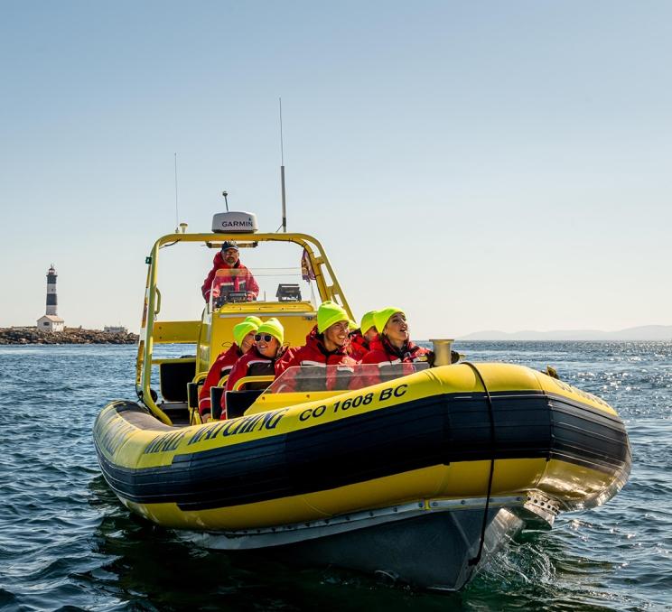 A whale watching tour with Prince of Whales Whale Watching & Wildlife Tours sails past Race Rocks Lighthouse in Greater Victoria, BC