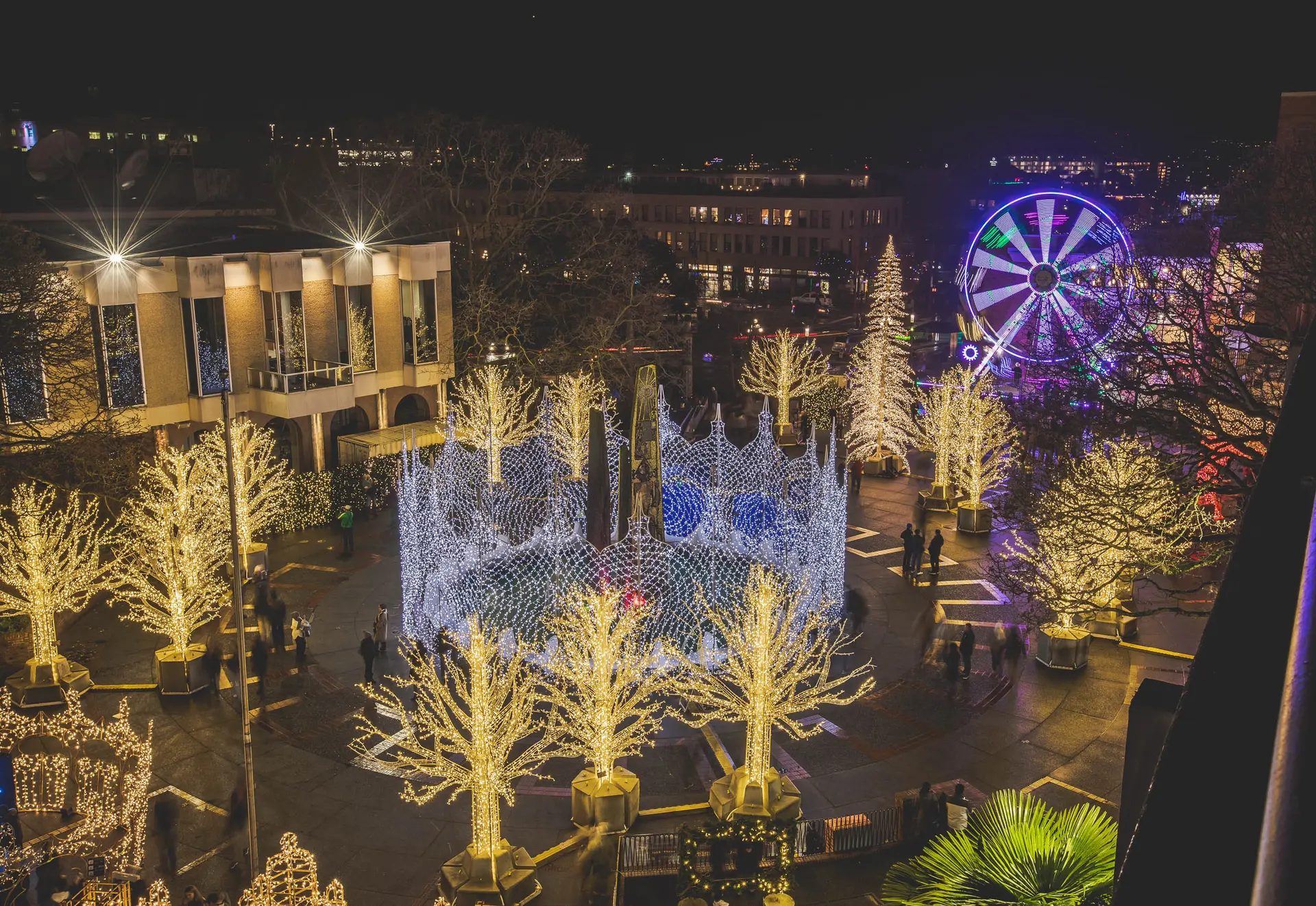 Lights of Wonder Victoria, BC