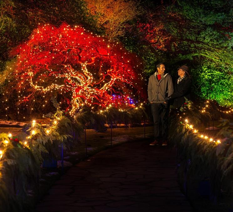 A couple walks hand-in-hand through the Magic of Christmas holiday light display at The Butchart Gardens in Victoria, BC
