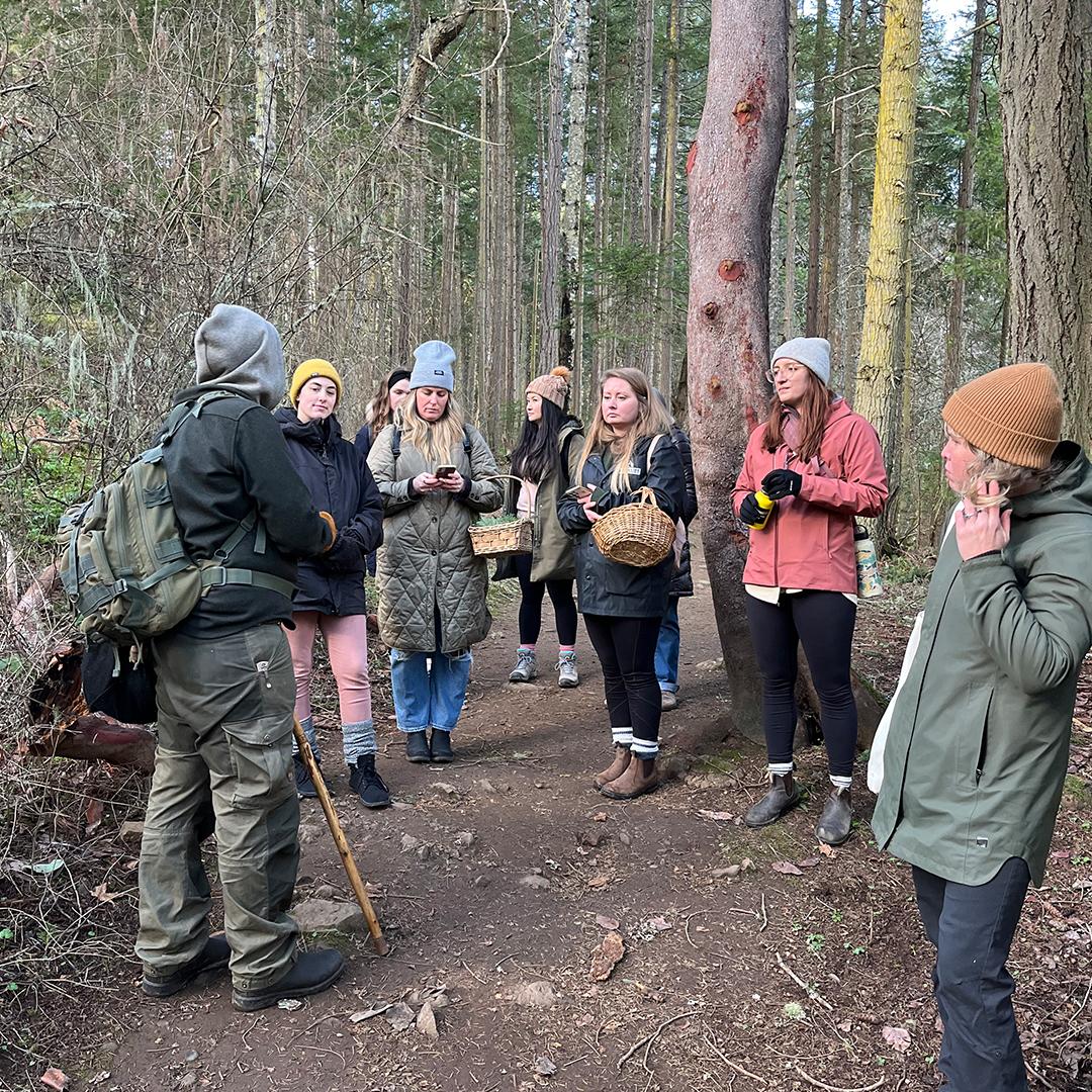 A group of hikers forage in a forest in Greater Victoria