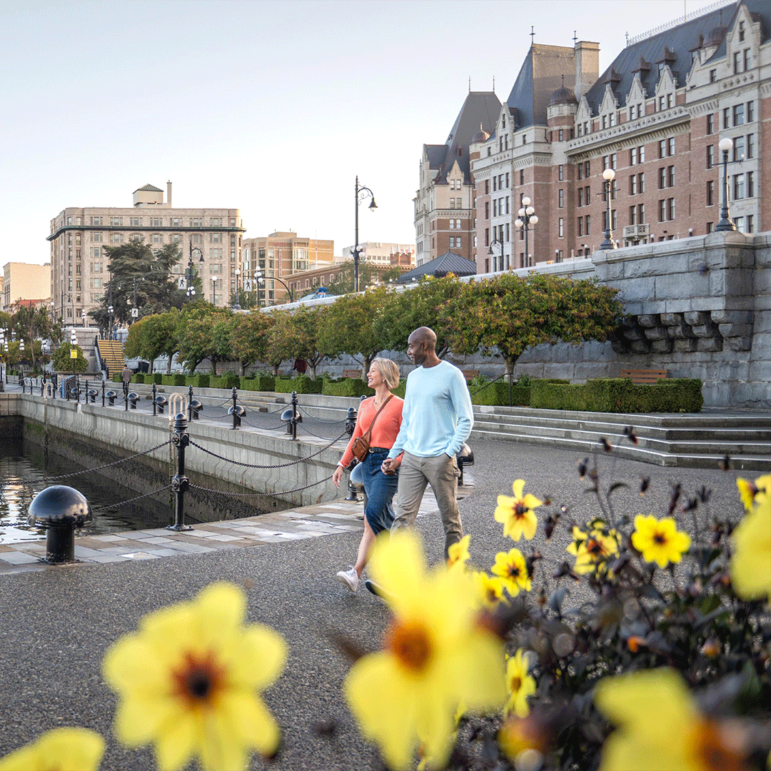 A couple walks hand in hand along the lower causeway of the Inner Harbour in Victoria, BC with yellow flowers in the foreground.