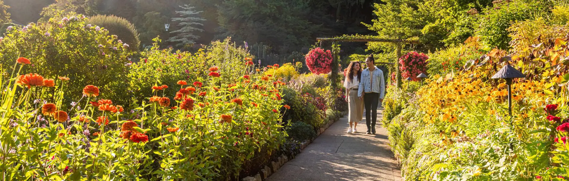 A couple walks hand-in-hand through The Butchart Gardens during fall in Victoria, BC
