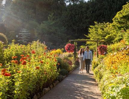 A young couple walks hand-in-hand through the Rose Garden at The Butchart Gardens in fall in Victoria, BC