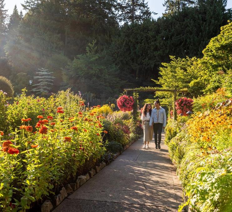 A young couple walks hand-in-hand through the Rose Garden at The Butchart Gardens in fall in Victoria, BC