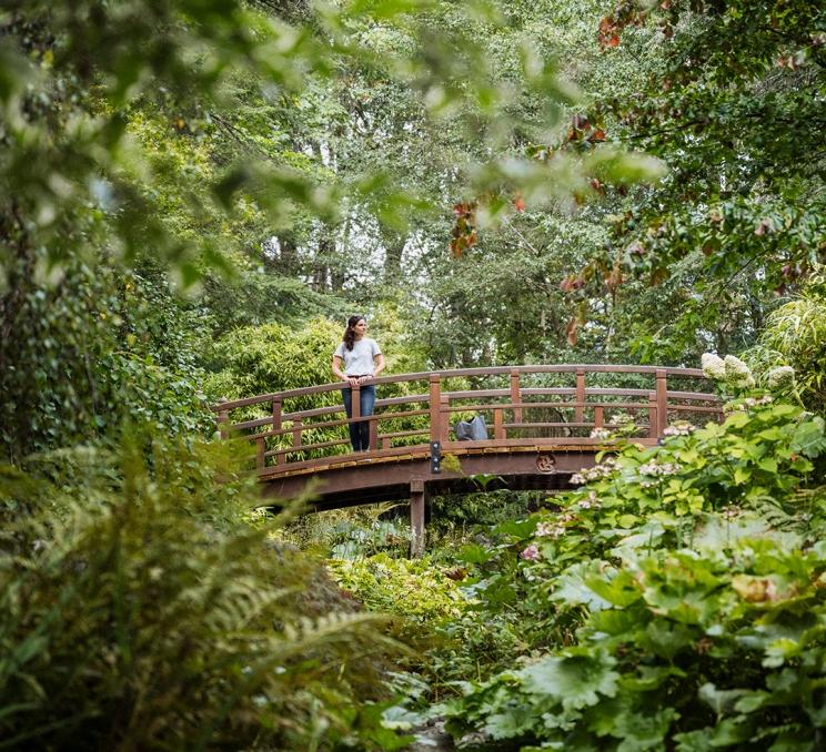 A woman looks over the edge of a bridge at the Gardens at HCP in Saanich, BC
