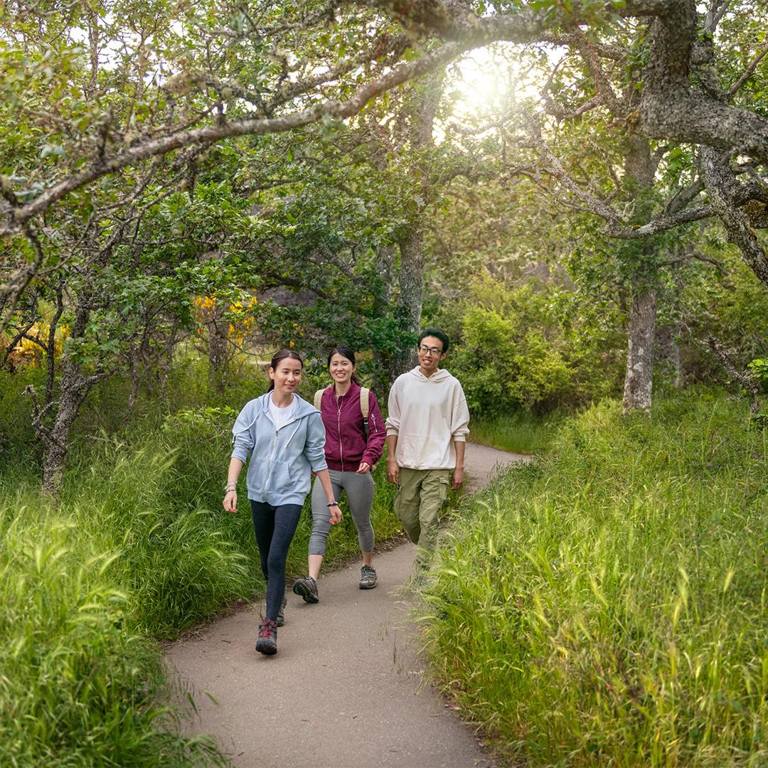 A family walks through oak trees along a path at the summit of PKOLS (formerly Mount Douglas) in Saanich, BC