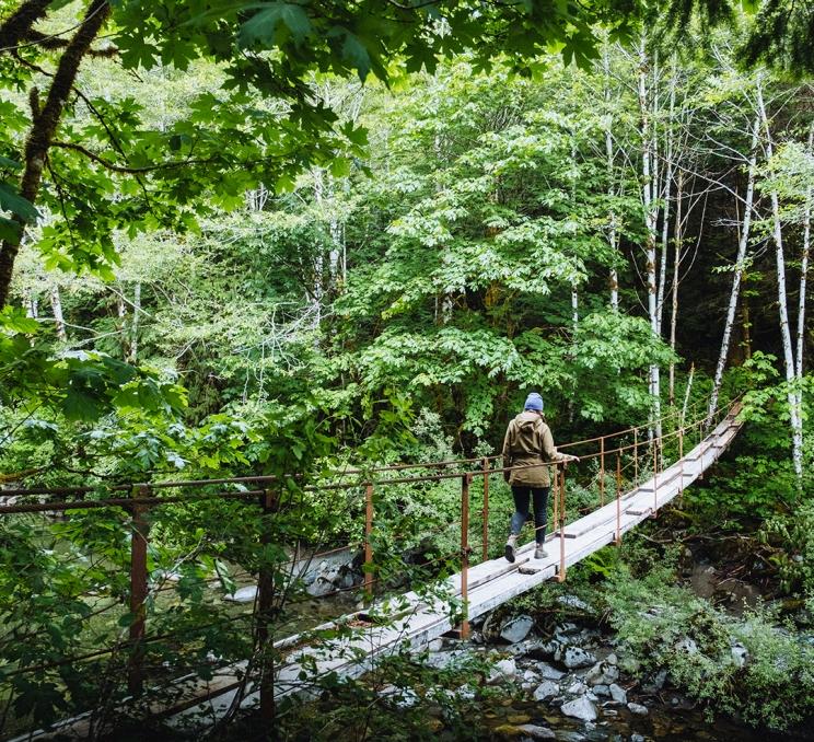 A person walks across a suspension bridge in the rainforest in Victoria, BC