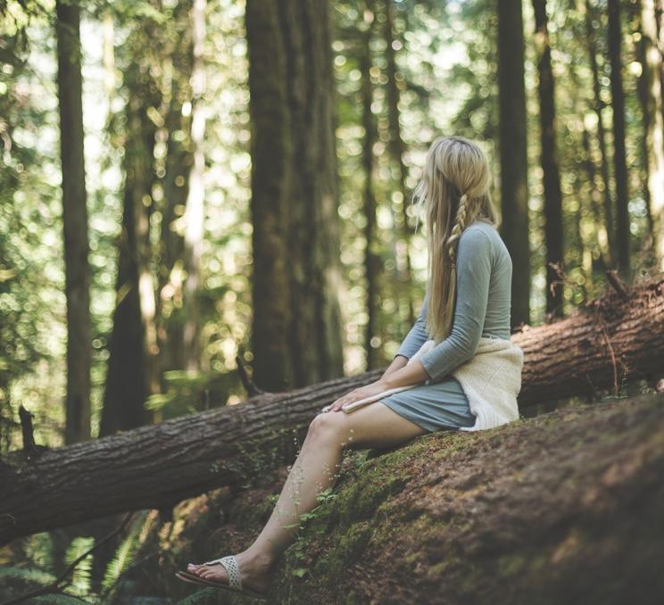 Reconnect with nature during a guided Forest Bathing experience at Swan Lake Nature Sanctuary.