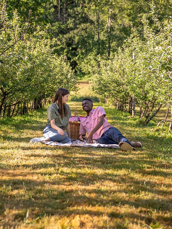 A couple enjoys a picnic in the orchard at Junction Orchard and Cidery in Victoria, BC