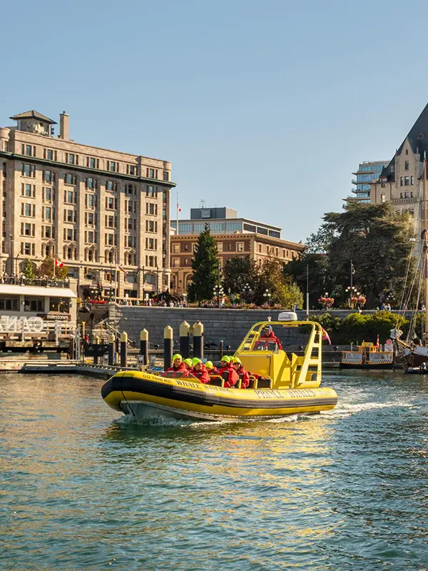 A zodiac whale watching tour departs Victoria, BC's Inner Harbour