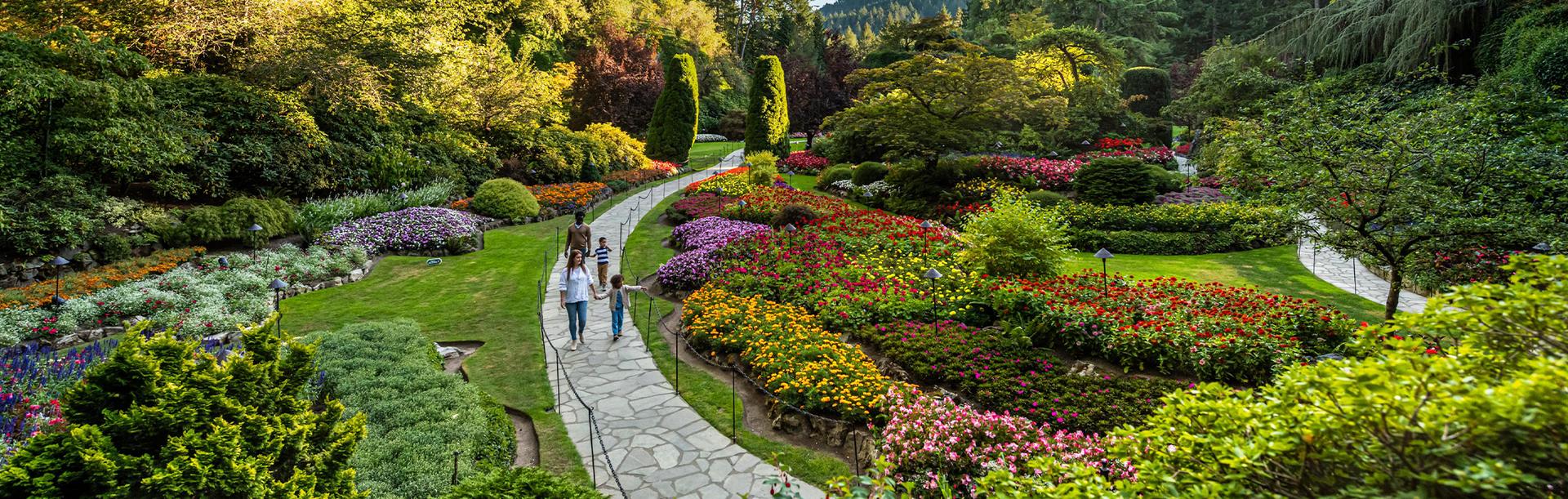 A family walks along the path through the flowers in the Sunken Garden at The Butchart Gardens in Victoria, BC