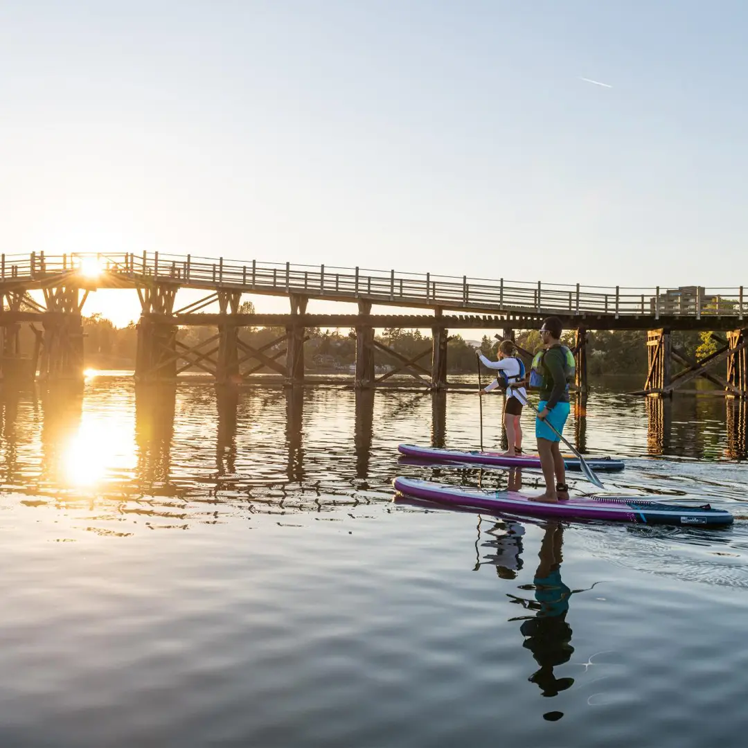 Two people paddleboard beneath the historic Selkirk Trestle spanning the Gorge Waterway in Victoria during a golden summer sunset.