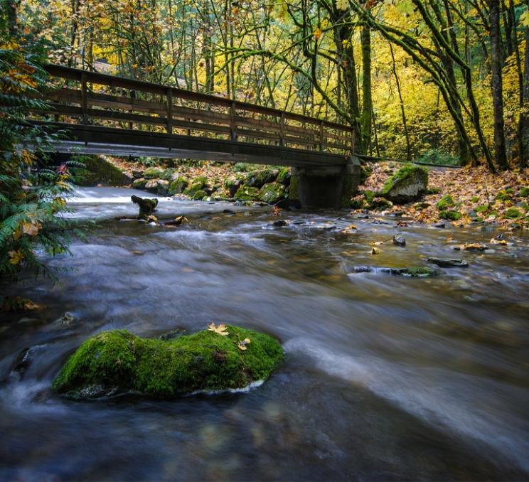 Goldstream Provincial Park in the fall