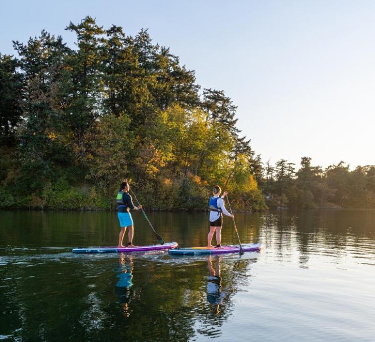 A couple on standup paddleboards in Victoria, BC