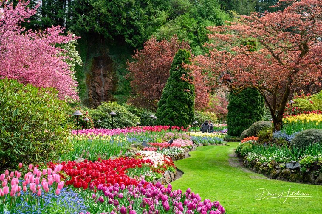 Spring Victoria Australai 72 Hours in Victoria: Spring Itinerary | Blog