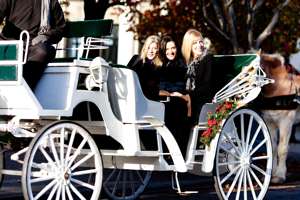 Tally Ho Carriage Tours during Christmas